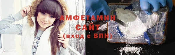 индика Алзамай