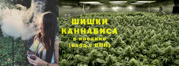 трава Абаза