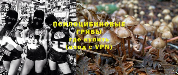 трава Абаза