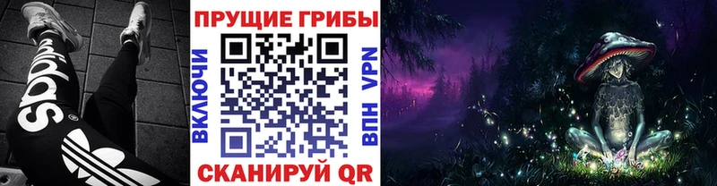 дарнет шоп Сорочинск Галлюциногенные грибы ЛСД