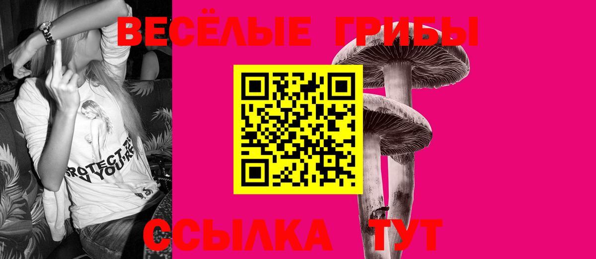 Псилоцибиновые грибы ЛСД Сорочинск